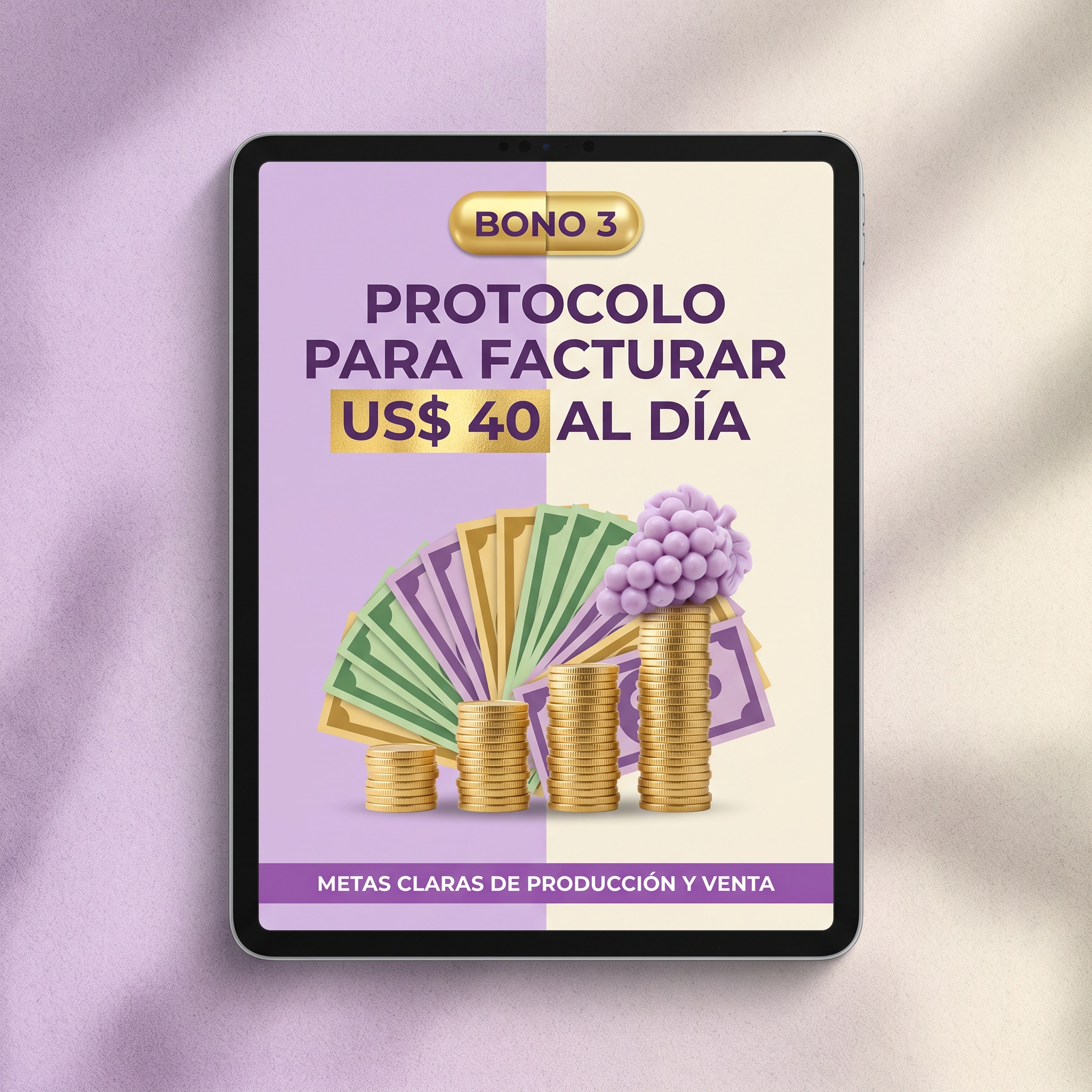 Protocolo para facturar US$ 40 por día